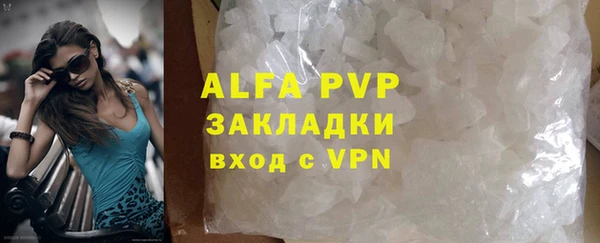 стаф Богородск