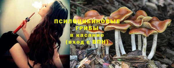 круглые Тында
