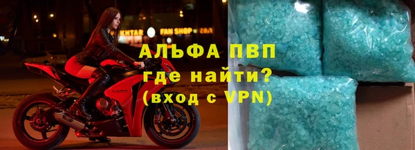 стаф Богородск